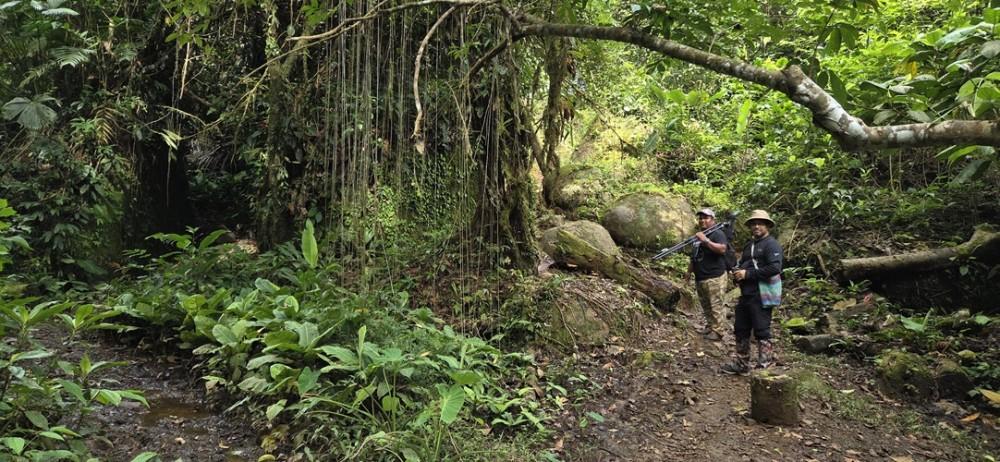 Header photo Header photo